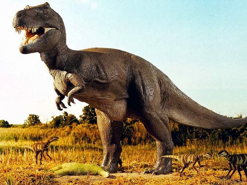 Dinozavr mumiyaları: Milyonlarla illik bioloji arxivin dirilməsi
