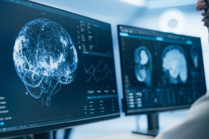 Beyin-kompüter interfeysləri və neyronal deşifrənin gələcəyi